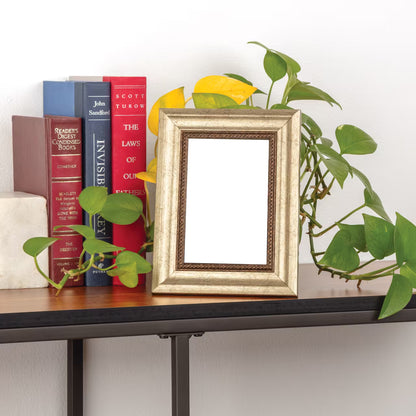 Simply Essentials™ Champagne Ornate Frame