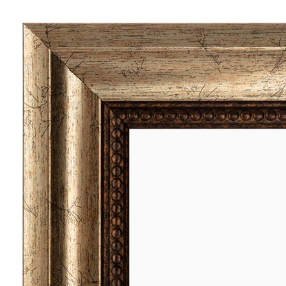 Simply Essentials™ Champagne Ornate Frame
