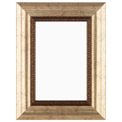 Simply Essentials™ Champagne Ornate Frame